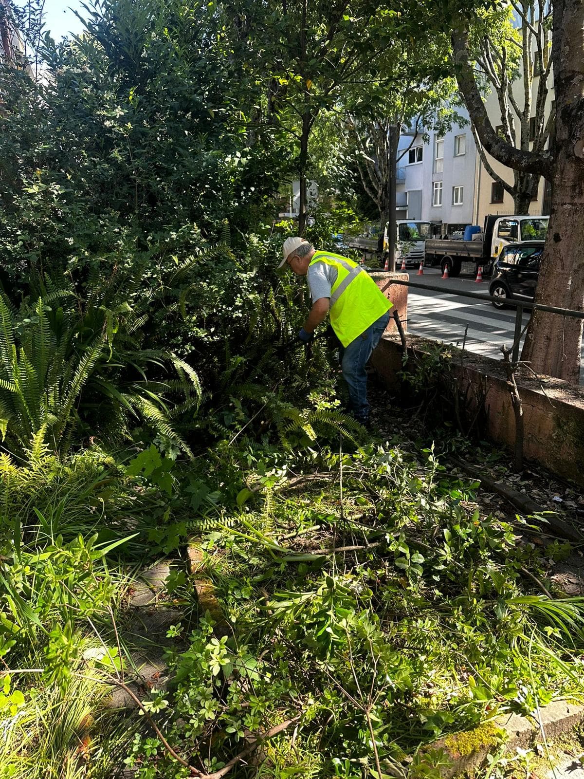 Homem com colete de segurança a podar arbustos verdes num jardim urbano ensolarado.